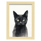 Lamina Nacnic de Gato Negro para Guardería y Hogar