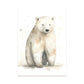 Lámina Nacnic Oso Polar 2