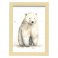 Lámina Nacnic Oso Polar 2