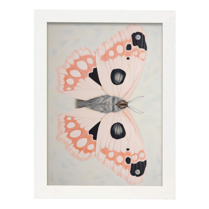 Lámina Nacnic Ballena Azul 3