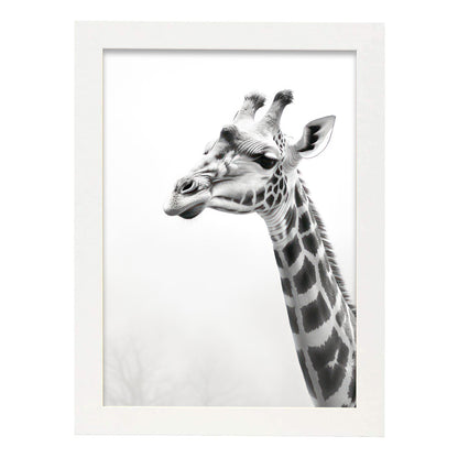 Lamina Nacnic de Gato Americano Bobtail