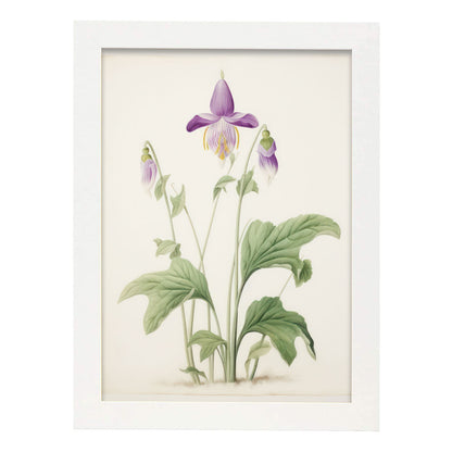 Nacnic Lámina Las Colinas 3