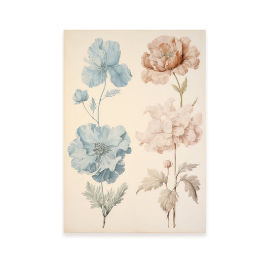 Nacnic Lámina Las flores 5
