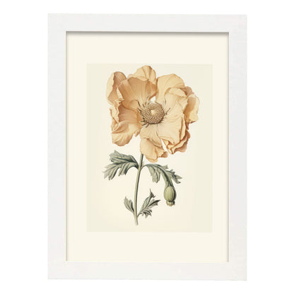 Nacnic Lámina Decorativa de Números y Alfabetos