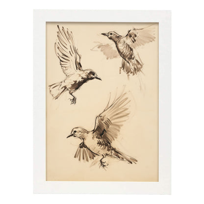 Nacnic Lámina de Liebre Belga para Guardería y Hogar