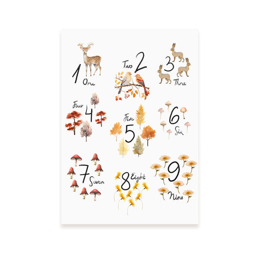 Lámina Nacnic de Ballenas de Aleta