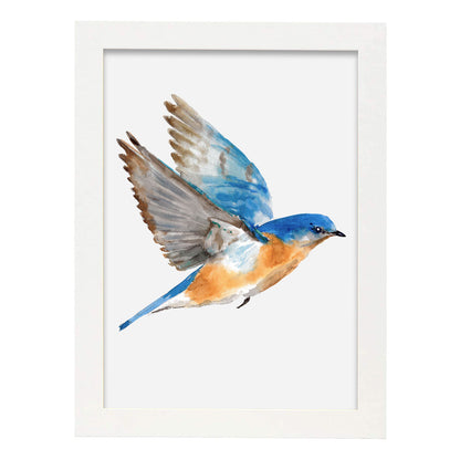 Lámina Decorativa Nacnic Pájaro Azulado