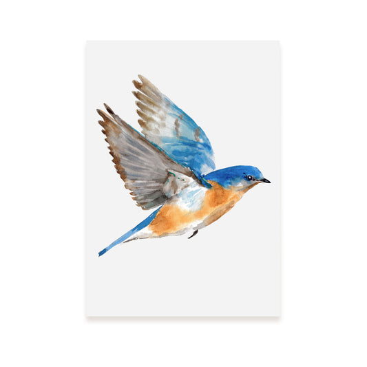 Lámina Decorativa Nacnic Pájaro Azulado